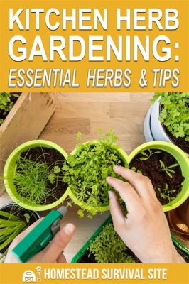  Kitchen Herb Gardening: Thai Flavors for Every Season!