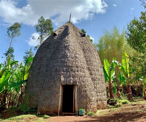  Traditional Ethiopian Homes: An Architectural Journey Through Time and Space! Exploring a Tapestry of Ancient Design Principles